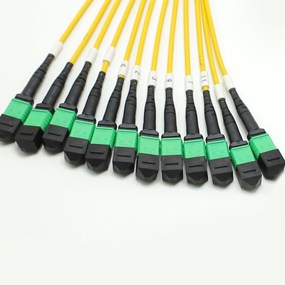 144F MTP MPO Fanout Cable SMG657A1 MPO APCからMPO APC ブレイクアウト 光ファイバーパッチコード