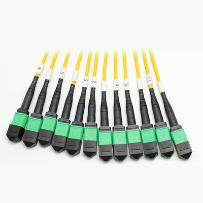 144F MTP MPO Fanout Cable SMG657A1 MPO APCからMPO APC ブレイクアウト 光ファイバーパッチコード
